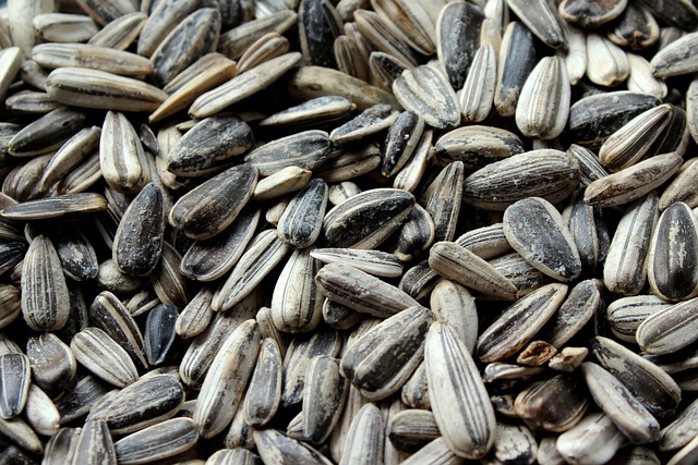 Sunflower seeds-Foods For Skincare what to eat for healthy skin