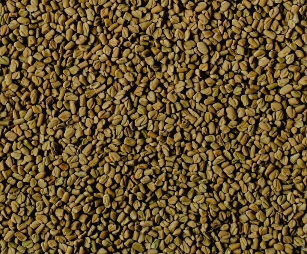 A Pile of Fenugreek Seeds in closeup shots