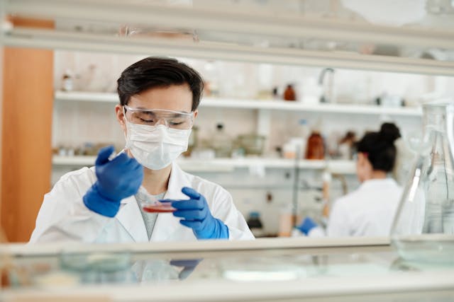 A pharmacist working with Patch test in the laboratory